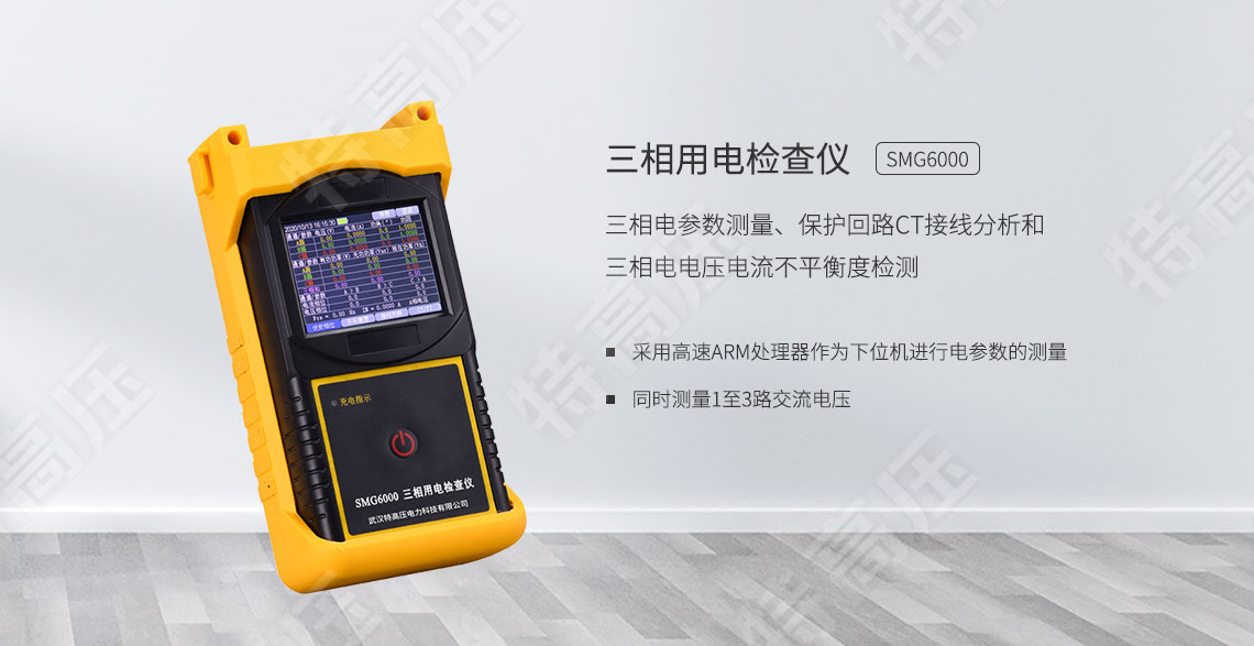 SMG6000 三相用电检查仪(图1)