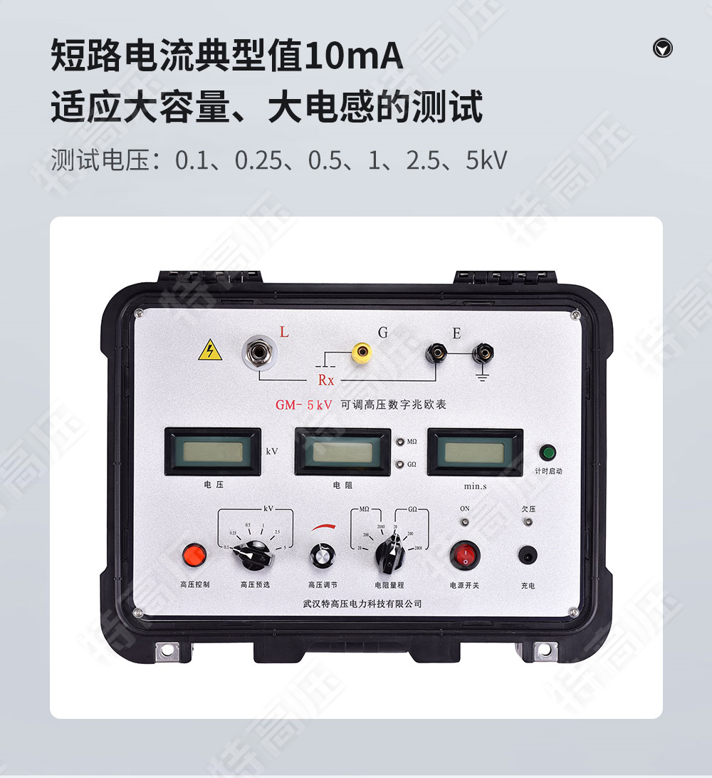GM-5kV 可调高压数字兆欧表(图3) GM-5kV 可调高压数字兆欧表(图3)