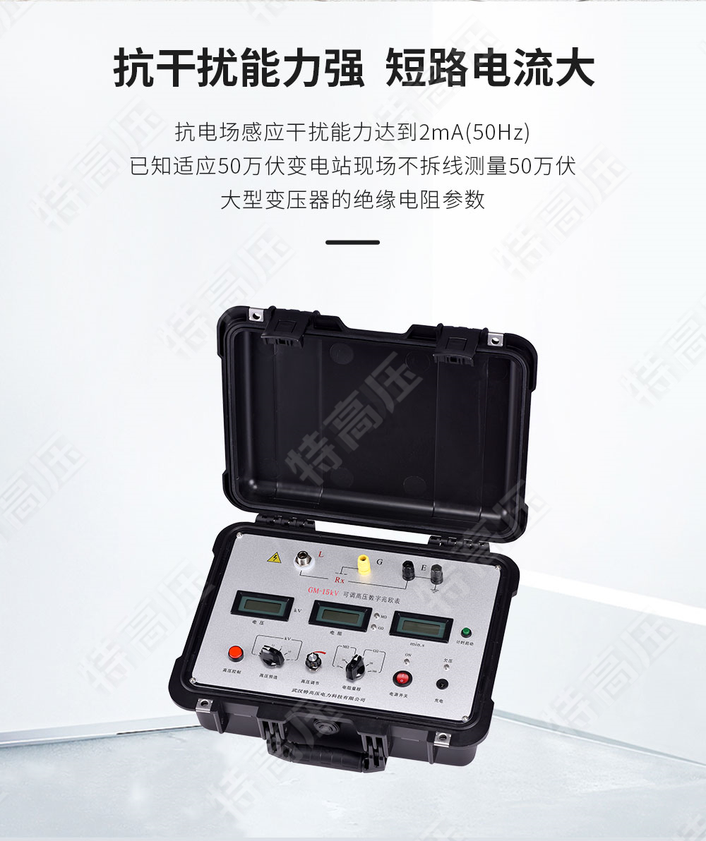GM-15kV 可调高压数字兆欧表(图2) 数字式兆欧表