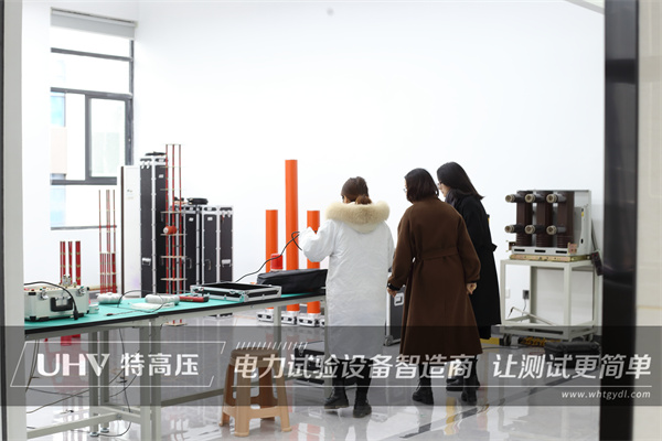 喜迎贵客临门，浙江客户来访特高压电力！